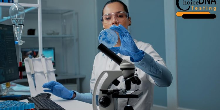 How Does One Deal With a False Positive Paternity Test?