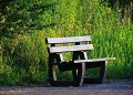 Benches
