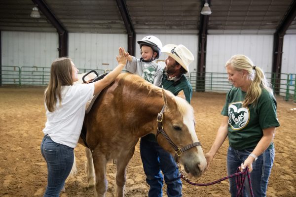 Health Benefits of Human-Animal Interactions