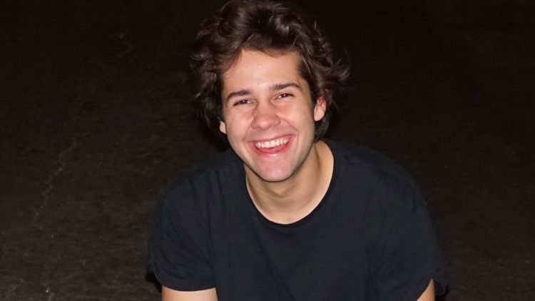 Who is David Dobrik? | David Dobrik Net Worth