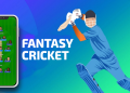 Why Is It Important for Every Cricket Lover to Play Fantasy Cricket Online?