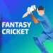 Why Is It Important for Every Cricket Lover to Play Fantasy Cricket Online?